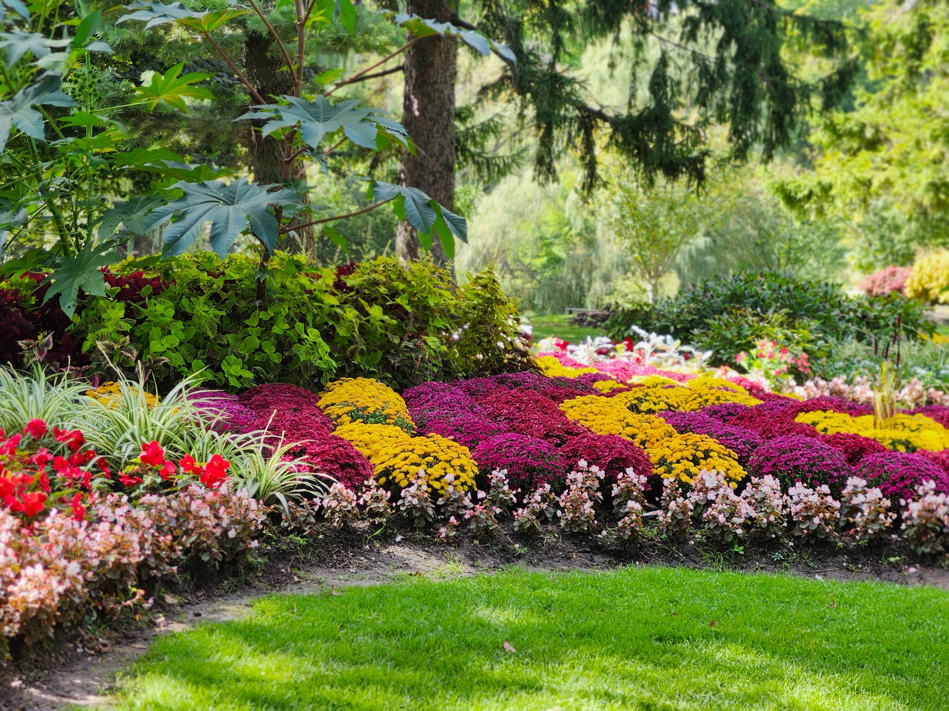 Why Landscaping Companies Should Market the Vision Before the Project Begins