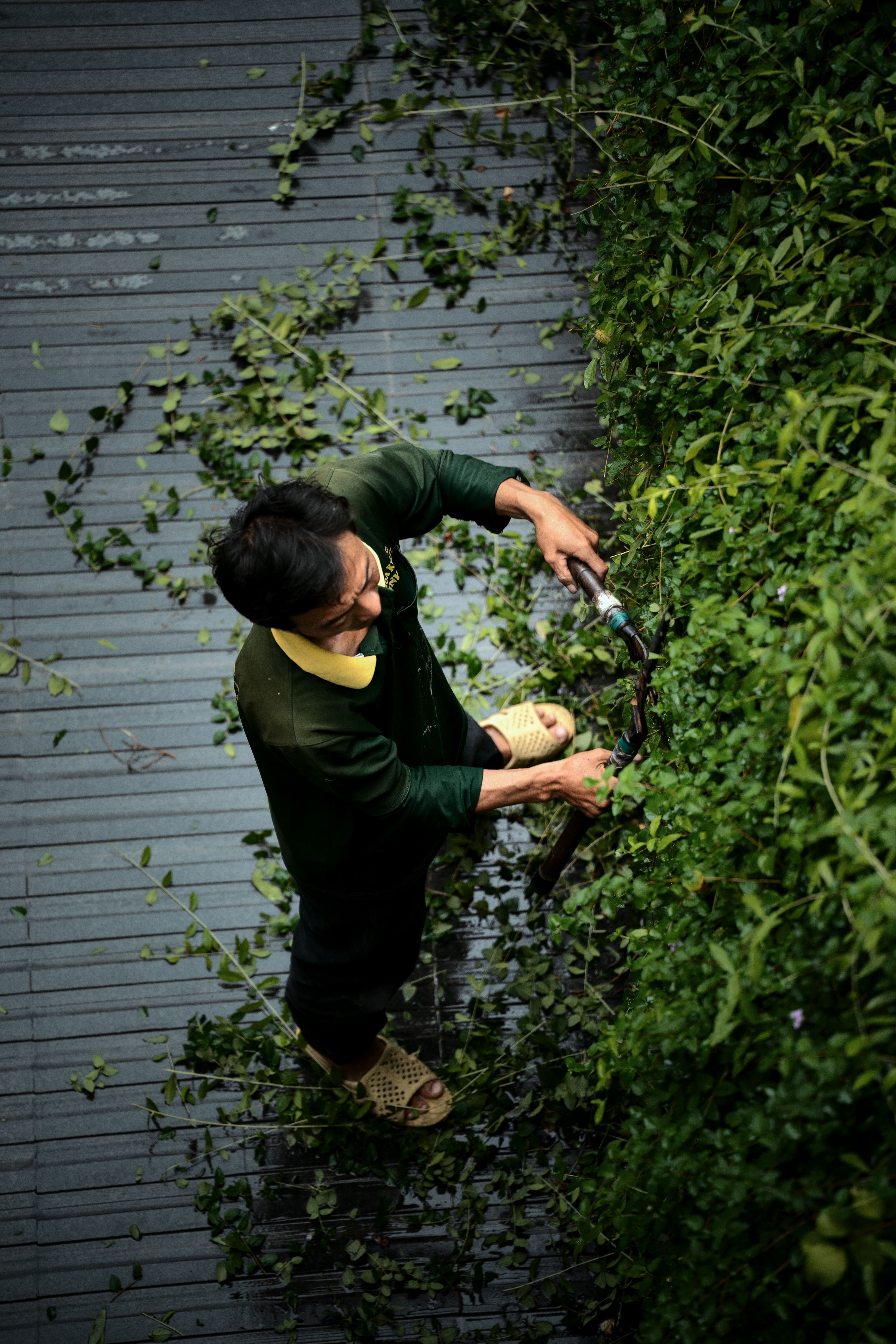 Don't Let the Spring Rush Define Your Landscaping Company's Marketing